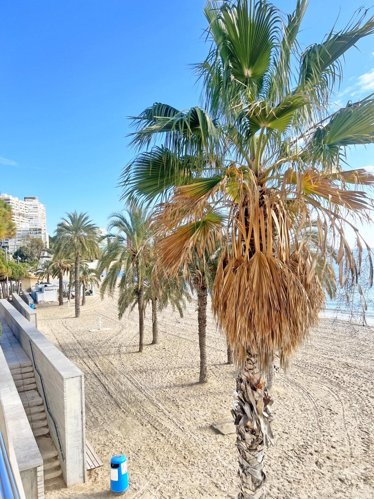 Ferienwohnung A 100M De La Playa. 2 Hab. A/C Alicante Exterior foto